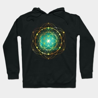 Psychedelic Festival Hoodie